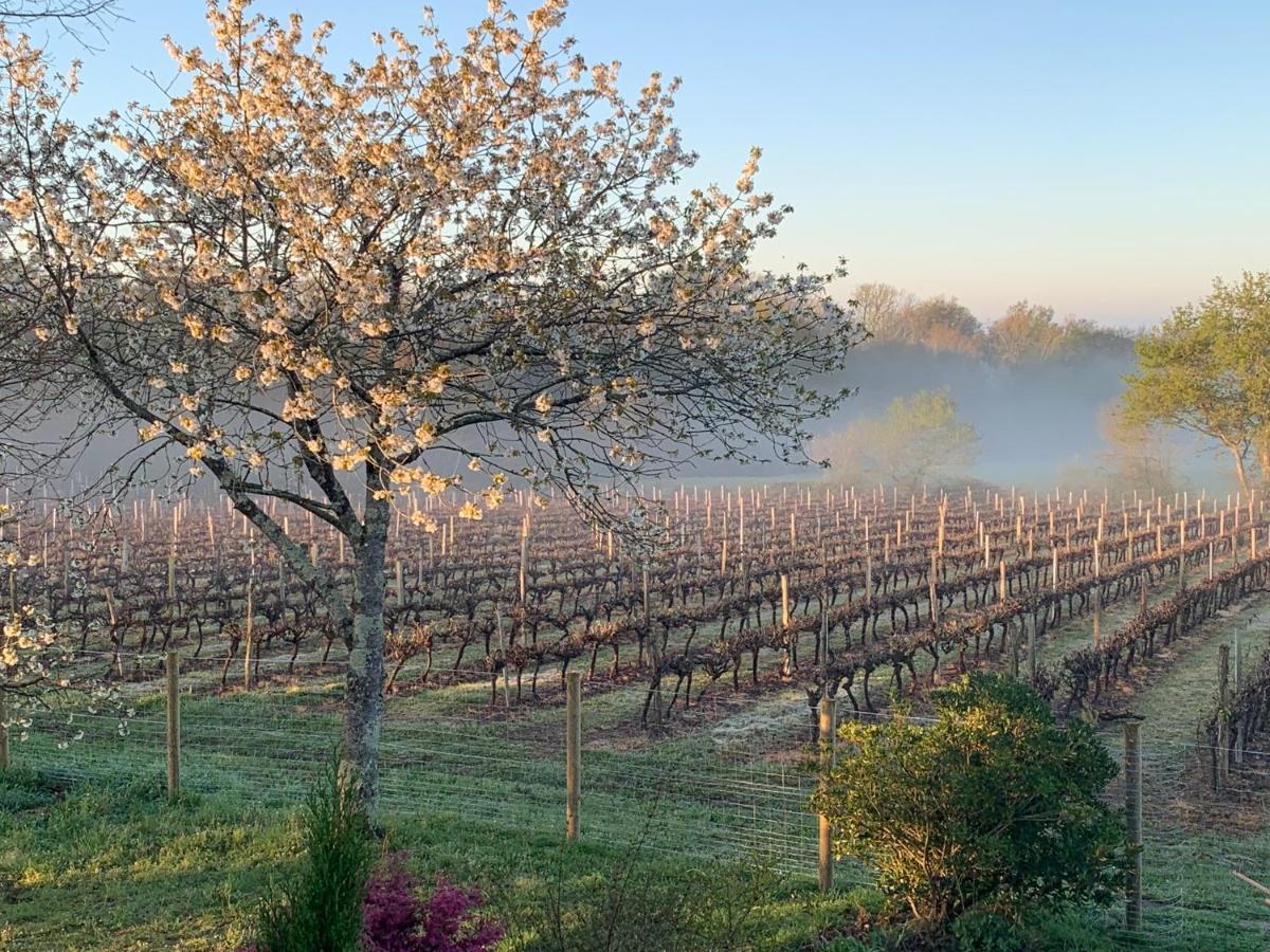 Lauberge De Nogaro Caupenne-d'Armagnac Eksteriør bilde